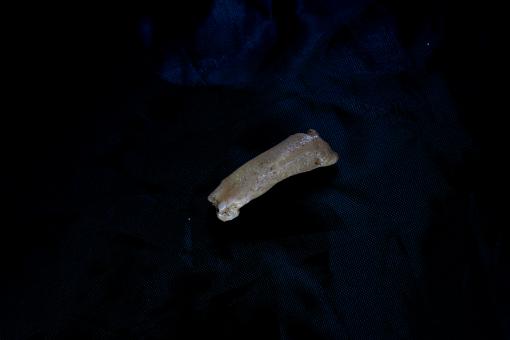 Leang Bulu Bettue cave pendant (replica) against a dark background
